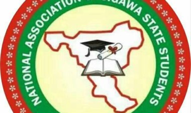 Jigawa State Scholarship Screening Underway at Umar Suleiman College of Education and Federal University Gashua