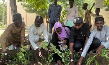 Aliko Dangote University Launches Tree Plantation Initiative with Climate Change Adaptation Network