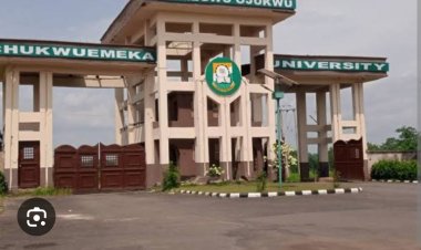 Ojukwu University Reaps Over ₦1.5 Million in Three Months from Vegetable Sales