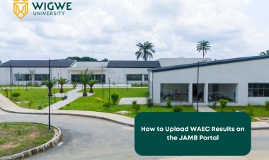 Wigwe University Issues Urgent Notice to Prospective Applicants on O'Level Results Upload