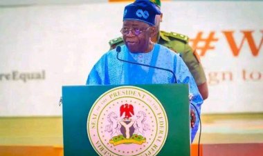 FG Approves 50% Electricity Subsidy for Educational Institutions Nationwide