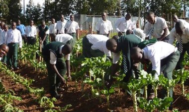 Postagvest Solutions Ltd Partners with Peace and Joy Group of Schools to Equip Students with Agricultural Skills