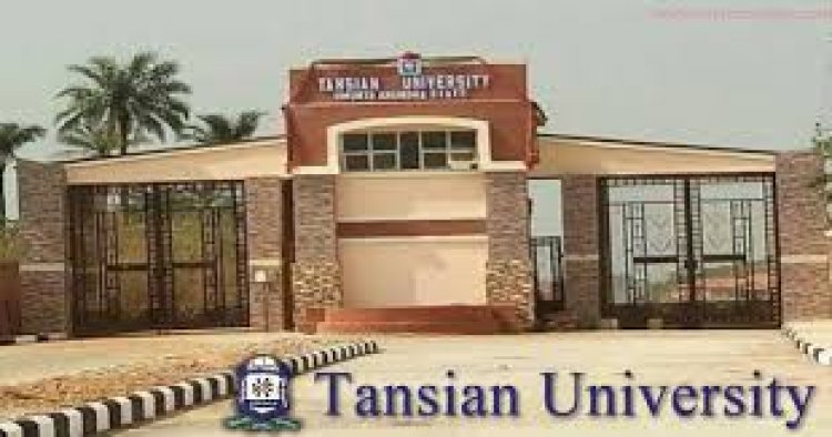 Tansian University: A Vision for Empowering Youth Through Education