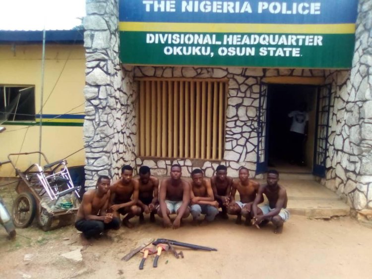 Eight Cultists Arrested at Osun State University with Weapons Cache