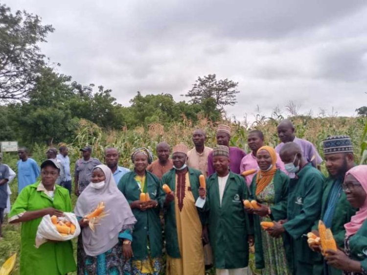 Kwara Polytechnic Cultivates 20 Hectares of Maize and Cassava to Enhance Food Security