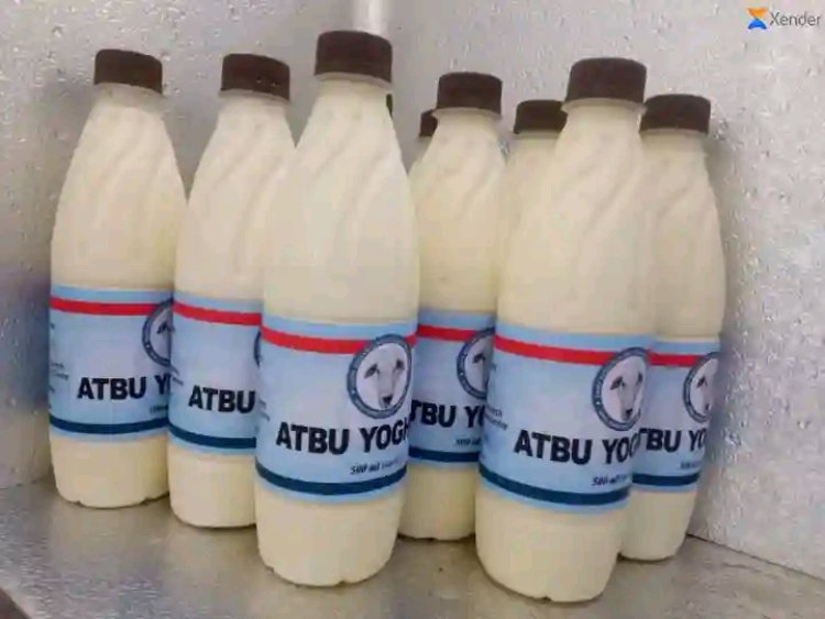 ATBU Launches Yoghurt Production