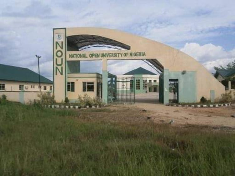 NOUN Student Expresses Frustration Over Delayed Results, Urges University to Release Grades