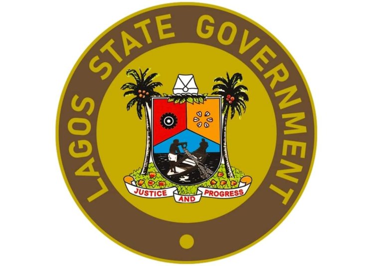 Lagos State Government Advocates for Birth Control Law to Tackle Out-of-School Children Crisis