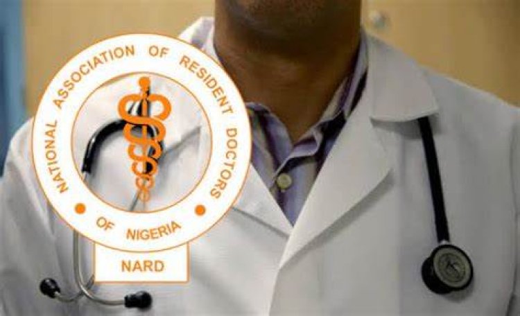 Rivers State Sees Decrease in Brain Drain Due to Enhanced Support for Resident Doctors