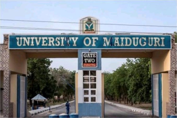 University of Maiduguri Announces 2024/2025 Pre-Admission Screening Exercise