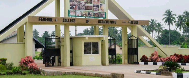 FECA Akure Releases 2024/2025 Admission Forms for Various Programs