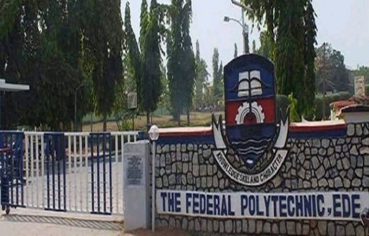 Ede Polytechnic Forms Committee to Reassess Expulsion and Suspension of 35 Students