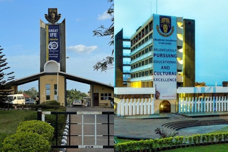 Tragic Accident Claims Life of OAU Final-Year Student at Campus Gate