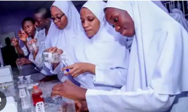 Dansharif College of Nursing Sciences, Kano Releases Basic Midwifery Admission Form for 2024/2025 Academic Session