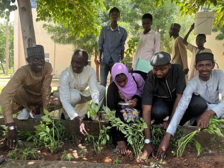 Aliko Dangote University Launches Tree Plantation Initiative with Climate Change Adaptation Network