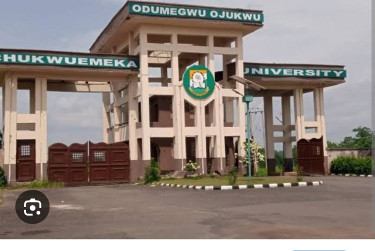 Ojukwu University Reaps Over ₦1.5 Million in Three Months from Vegetable Sales