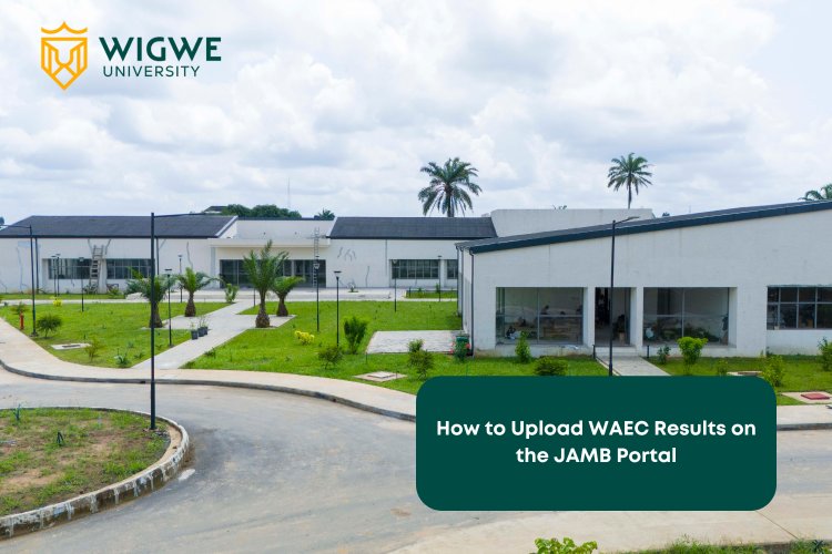 Wigwe University Issues Urgent Notice to Prospective Applicants on O'Level Results Upload