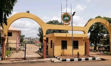 Kwara State College of Education Alumni Rush to Obtain Original Certificates Ahead of Recruitment Drive