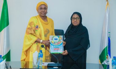 NSUK VC Prof Sa'adatu Hassan Liman Seeks Expanded Partnership with NEMA