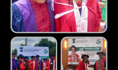 NMA Enugu State Congratulates Prof. Adaeze Chikaodinaka on Successful Inaugural Lecture