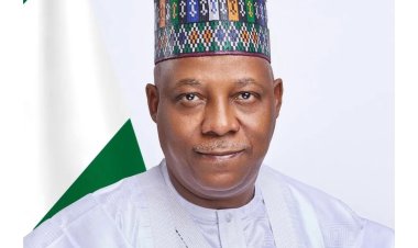 MAAUN Founder Prof. Gwarzo Salutes Vice President Kashim Shettima at 58