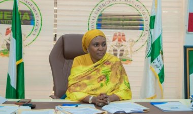 NSUK Vice-Chancellor Seeks Stronger Partnership with NEMA During Visit