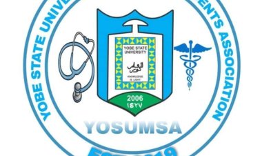 Comrade Aisha Alkali Jajere Elected as First Female President of YOSUMSA