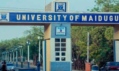 University of Maiduguri Suspends Lectures and Closes Offices Temporarily
