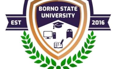 Borno State University Temporarily Closes Due to Flooding