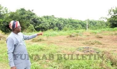 FUNAAB Expands Agricultural Initiatives with Large-Scale Pepper Cultivation and Upcoming Pawpaw Harvest