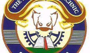 Federal Polytechnic, Ile-Oluji Students Die in Ondo Road Crash; Driver Arrested