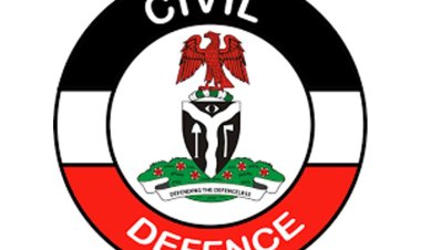 Osun NSCDC Arrests 24-Year-Old Bricklayer for Vandalizing Government School