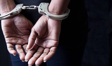 12-Year-Old Detained for Stabbing Six Students Near Lisbon