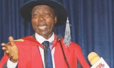 OOU Professor Criticizes Low Capacity of Nigerian Universities Amidst Proliferation