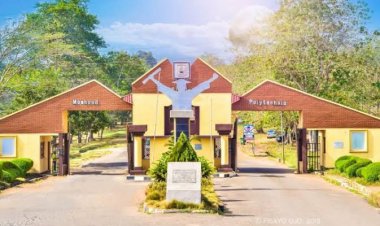 Moshood Abiola Polytechnic Appoints Mrs. Folasade Madariola as 8th Bursar