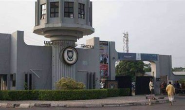University of Ibadan Announces Approval of Student Loans from NELFUND