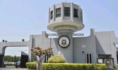 Nigerian Education Loan Fund Approves Loans for 3,283 University of Ibadan Students