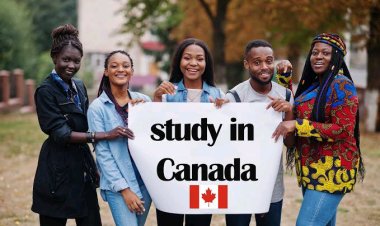 Canada to Cut International Student Permits by 10% in 2025, Tightens Work Permit Rules