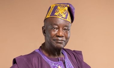 FUTA Appoints Professor Labunmi Lajide as Emeritus in Recognition of Pioneering Contributions to Chemistry