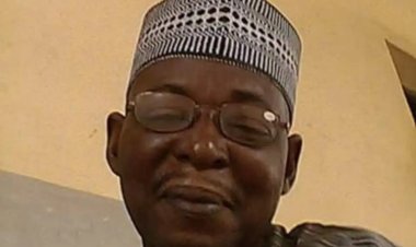 Court Orders College Registrar to Pay N1 Million for Assaulting Female Lecturer in Adamawa