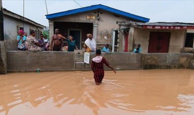 Three Million Children in Borno State Face Indefinite School Closures Following Catastrophic Floods
