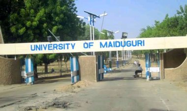 University of Maiduguri Extends 2024/2025 Pre-Admission Screening Exercise