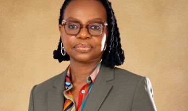 UNILAG-Led Research Team Discovers Safer and More Effective Treatment for Anaemia in Pregnant Women