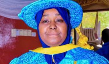 AI Can Revolutionize Healthcare in Africa - BUK Prof. Hajara Sanda