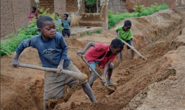 ASUBEB Warns Schools Against Using Children as Labourers Ahead of Resumption
