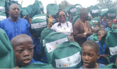 Out-of-School Children: Educationist Urges Nigerian Government and Citizens to Prioritize Education