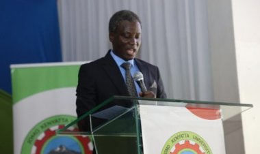 Bowen University VC Calls for Regulation of Distance Learning Nursing Programs to Ensure Quality Training