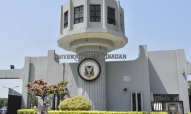 11,912 Candidates Compete for Admission at University of Ibadan for 2024/2025 Session