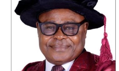 FUTA Appoints New Provost and Deputy Provost for College of Health Sciences