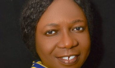 International Water Management Institute Appoints FUTA Alumna Olufunke Cofie as New Africa Director for Research Impact
